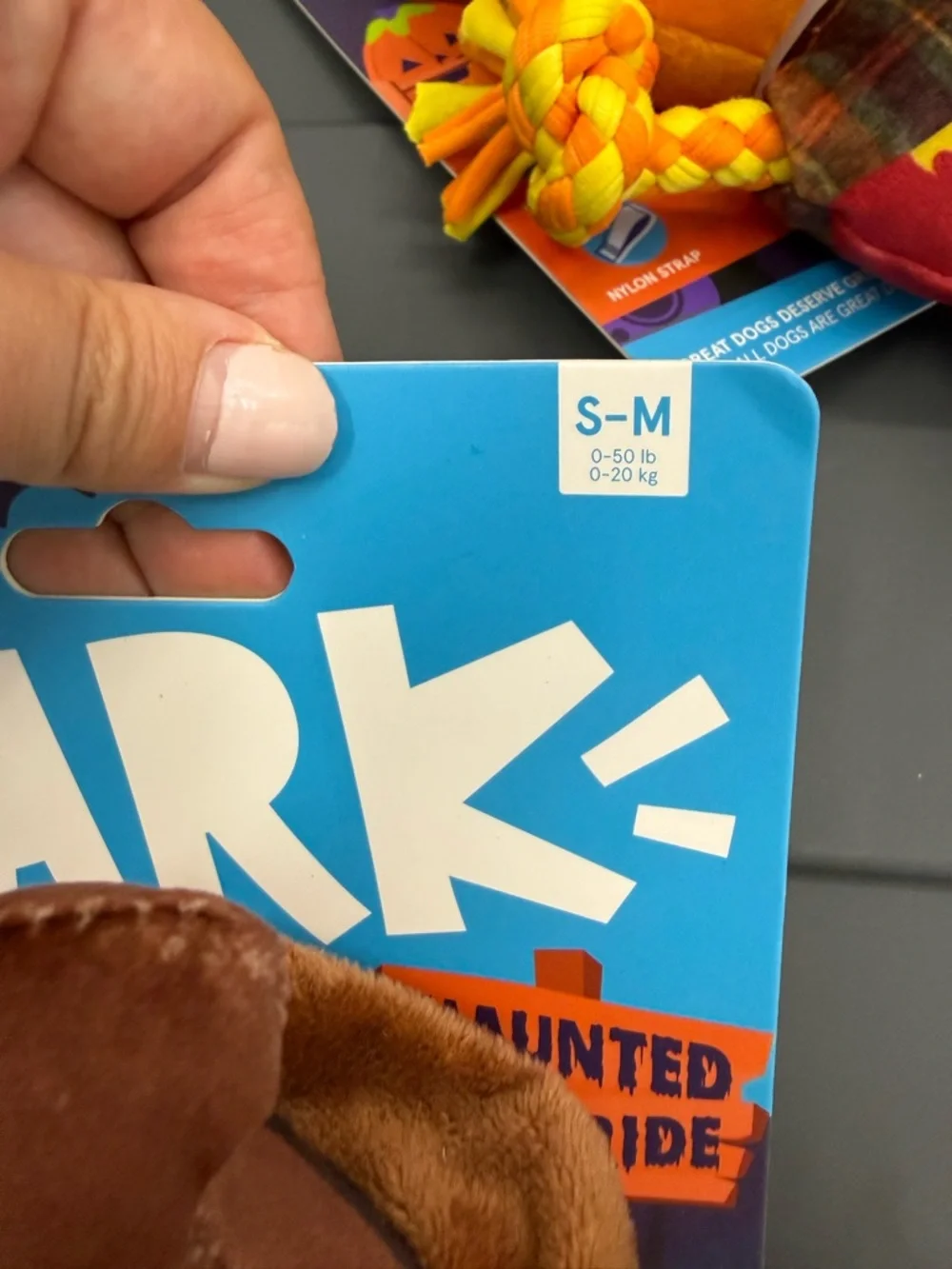 Bark festive pumpkin